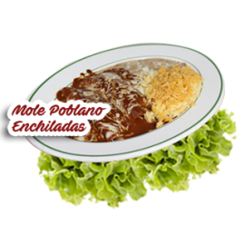 Two Mole Poblano Enchiladas